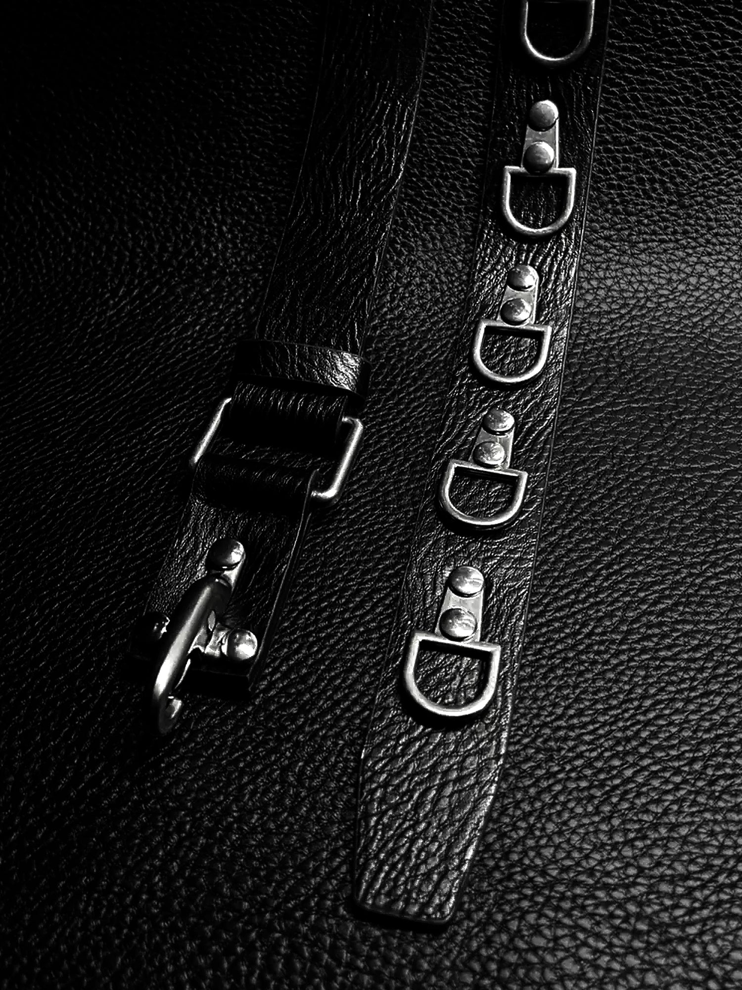 Cinturón Rogue D-Ring